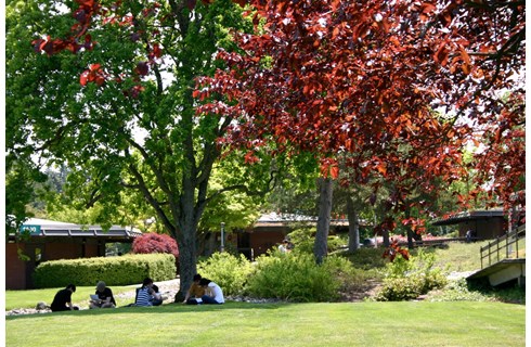 Shoreline College